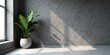 © napak - Sunlit Corner with a Lush Green Plant in a Modern Pot against a Textured Wall