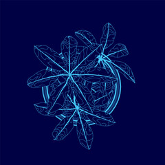 Poster - The image is a blue drawing of a plant with leaves and stems. The drawing is of a plant with leaves and stems, and it has a blue color scheme