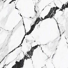 Poster - Detailed Marble Texture Background with Striking Abstract Patterns and Elegant Monochrome Tones
