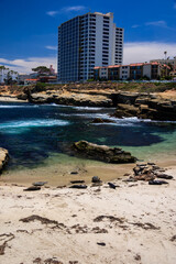 Wall Mural - A beach with a large building in the background