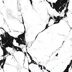 Poster - Striking Marble Texture with Bold Black and White Contrasting Patterns for Modern Interior Design or Fashion Backgrounds