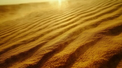  Captivating Desert Dunes Under Soft Warm Light
