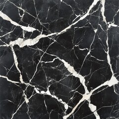 Poster - Elegant Black and White Marble Texture Abstract Background with Intricate Patterns and Clean Minimalist Design
