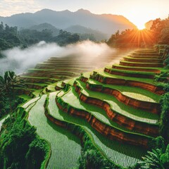 Canvas Print - Stunning Panoramic View of Lush Green Terraced Rice Fields in Mountainous Landscape at Sunrise with Mist and Sunlight in Rural Asia - A Serene Natural Scene