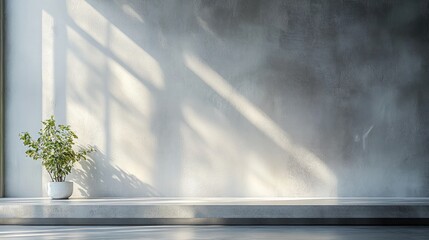 Leinwandbilder - Minimalist Studio Room with Concrete Table and Wall for Product Display and Photography