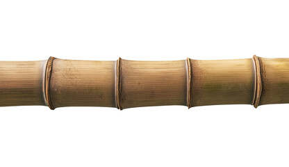 Wall Mural - bamboo stick isolated on transparent background