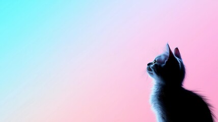 Poster - Silhouette of a Cat Against a Colorful Gradient Background in Illustration Style
