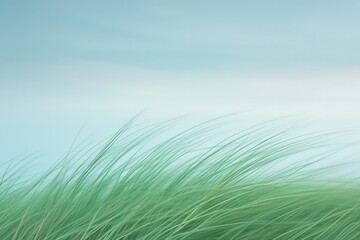 Poster - dynamic motion blur image of wind rushing through field of tall grass sense of movement captured in soft sweeping lines