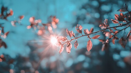 Wall Mural - Sunlit Autumn Leaves  Branch  Nature  Sunlight  Bokeh  Fall  Serenity  Peaceful  Tranquil