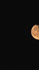 Wall Mural - Moonrise in Dark Night Sky natural Background. video night nighttime timelapse. Yellow Moon