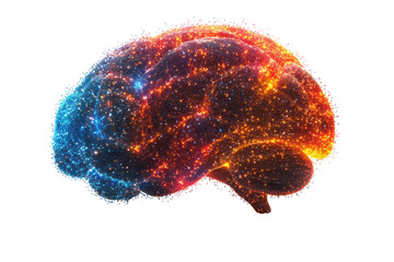 Poster - A vibrant, colorful illustration of a brain symbolizing creativity and knowledge, showcasing the intricate connections in a stunning cosmic style.