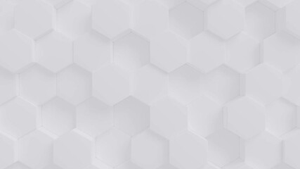 octagonal white background