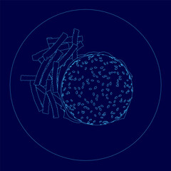 Poster - Blue plate with a hamburger and fries. The hamburger is cut in half and the fries are scattered around it