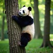 © chaikrit - Giant panda ascends tree trunk, thick fur visible, cute, up, endangered
