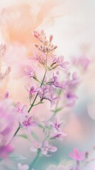 Poster - Ethereal bokeh effect with soft pastel flowers creating a dreamlike atmosphere in a tranquil garden setting