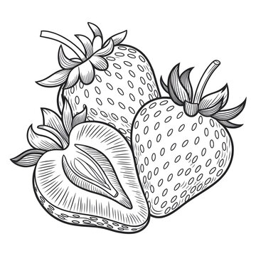 illustration of a strawberry coloring page 