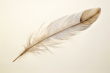 Poster - Single light brown feather resting on a minimalist white backdrop, evoking themes of lightness, fragility, and nature