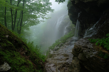 Wall Mural - A misty waterfall cascading down rugged, moss-covered cliff