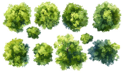 Abstract watercolor tree top view vector, isolated on white background for landscape plan, architecture layout, garden elements, environment, flower blooming, blossom grass, drawing.
