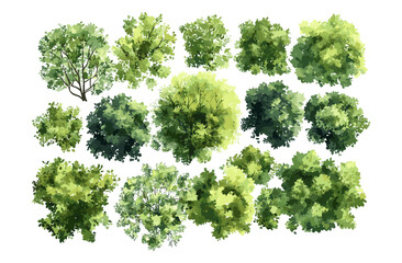 watercolor vector tree top view isolated on white background, landscape plan elements, garden and en