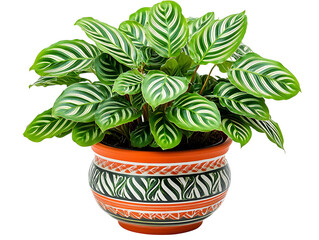 Wall Mural - Lively indoor plant care tips home blog post bright environment close-up greenery