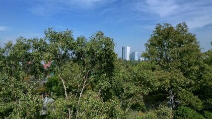 Wall Mural - Rising-up drone shot of the Mayor Lake in Bosque de Chapultepec Park in Mexico City, Mexico