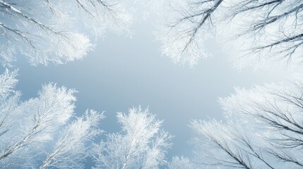 Wall Mural - a winter scene with snow-covered trees and a clear blue sky