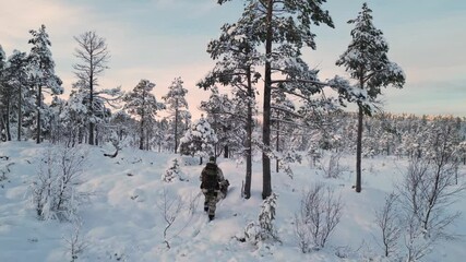 Wall Mural - hiker in heavy winter clothes and backpack, walking with dog through trees in snow-covered area