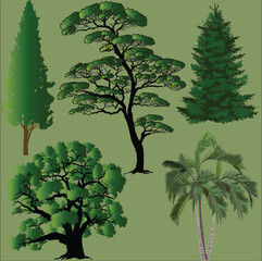 Wall Mural - green five trees set isolated on light background