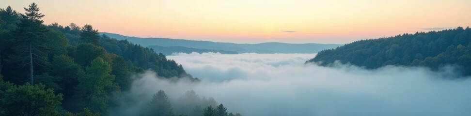 Wall Mural - Gentle morning fog rolling in over a still forest, quiet morning, paint stroke