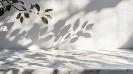 a plant with green leaves on a marble table casting a soft tree shadow in natural light
