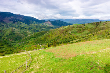Wall Mural - beautiful countryside of ukraine. green environment. cloudy morning. wonderful springtime landscape 