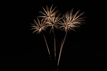 Wall Mural - Colorful fireworks lights on the night sky background