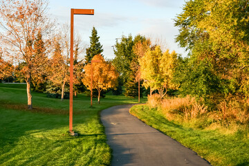 Wall Mural - a path in a park with trees and a street light