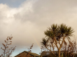 Wall Mural - a rainbow is seen in the sky above a house. the sky is cloudy and the house is surrounded by trees.