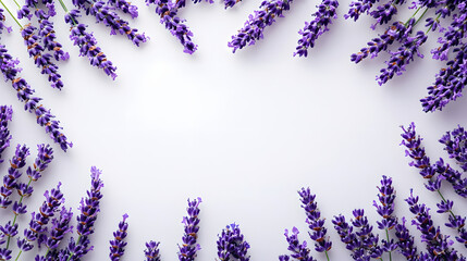 Poster - Lavender flowers arranged on a white background showcasing natural beauty and delicate details