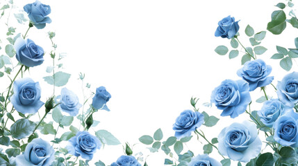 watercolor flower of tropical spring floral blue on transparent background