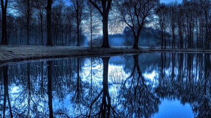 Wall Mural - Serene winter park pond reflection, misty sunrise, nature wallpaper