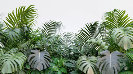 Leaves of green plants, palm trees, and banana leaves.