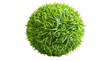 Poster - Grass green planet on transparent background