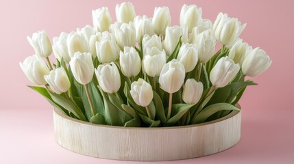 Wall Mural - White tulips in a round box with a wooden text frame, set against a soft pink background, celebrating International Womens Day