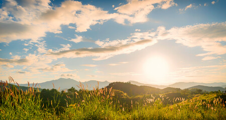 golden sunshine sky tropical tree fields in sunny morning. silhouette tree gold dawn mountain in spr