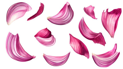 Poster - A collection of red onion layers are shown isolated against a black background, showcasing their texture and color.