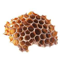 Poster - A close-up image of a section of honeycomb with remnants of honey visible within the cells.