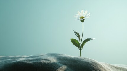Poster - A visual representation of growth with a plant rising above the ground, symbolizing the process of improvement, renewal, and success in life