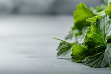 Aufkleber - Close-up view of fresh rapini on a clean white surface, emphasizing its vibrant green color and texture, ideal for promotional materials and designs