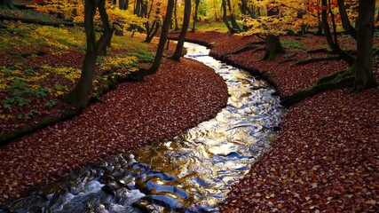 Aufkleber - A colorful autumn forest with a stream running through it, surrounded by fallen leaves and soft golden light.
