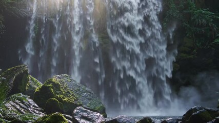 Poster - A cascading waterfall in a jungle setting, surrounded by lush greenery and illuminated by soft sunlight filtering through the canopy.

