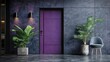 © yuli - Modern Purple Door Entrance with Plants and Chair