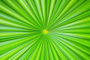 Poster - Close-up of vibrant green palm leaf with radiating pattern and light center point on a bright background. Concept of nature and symmetry.